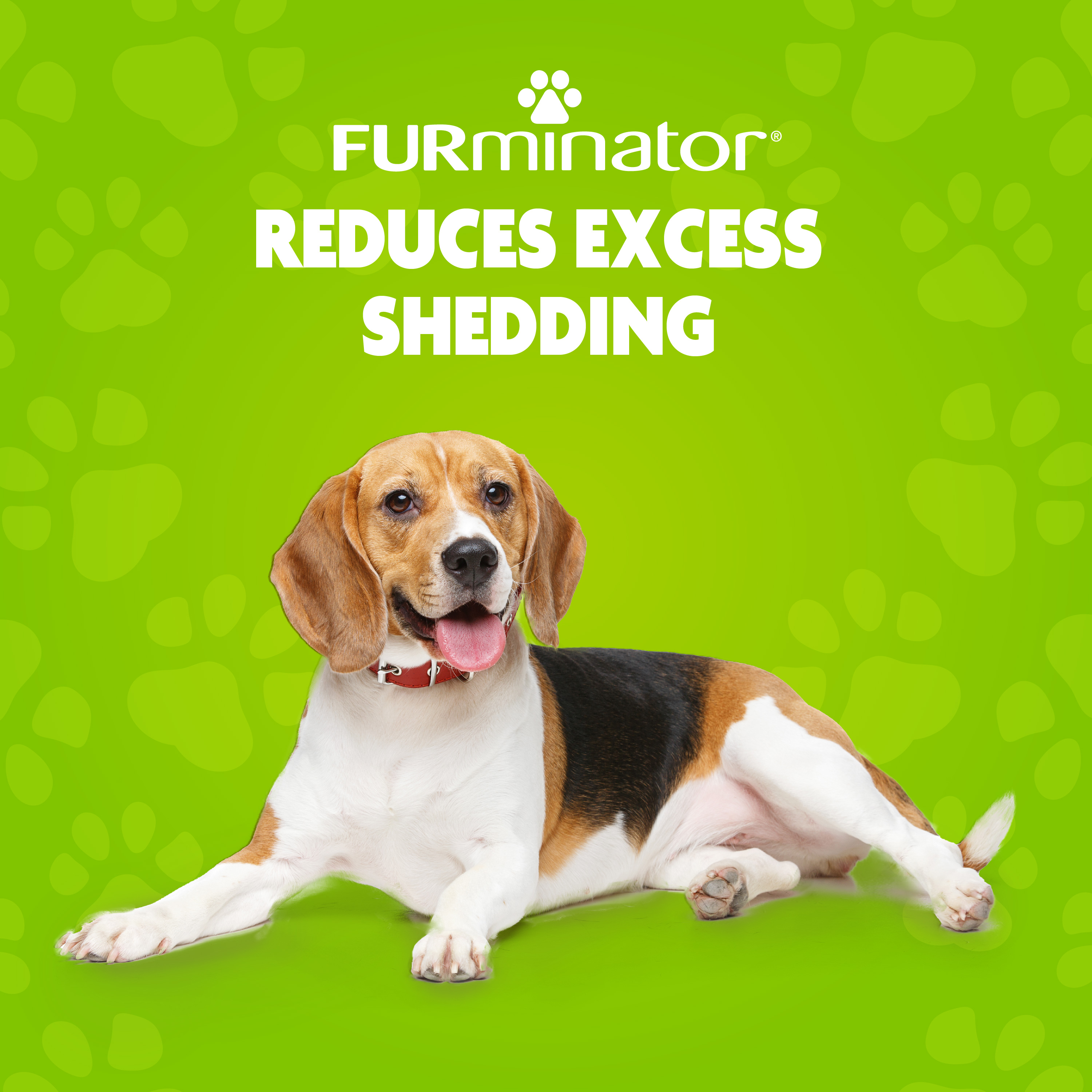 Furminator results sales